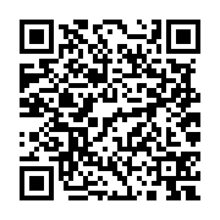 QR code for 13VM343