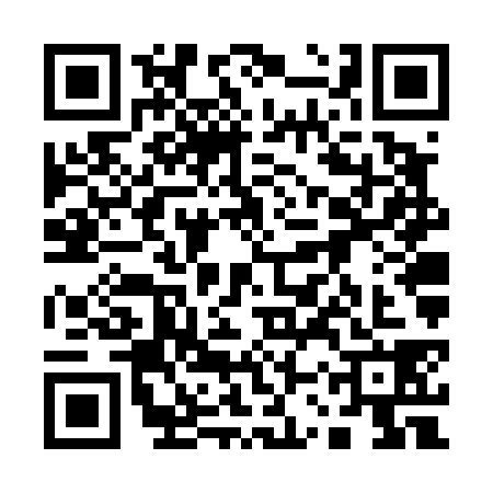 QR code for 13VT389