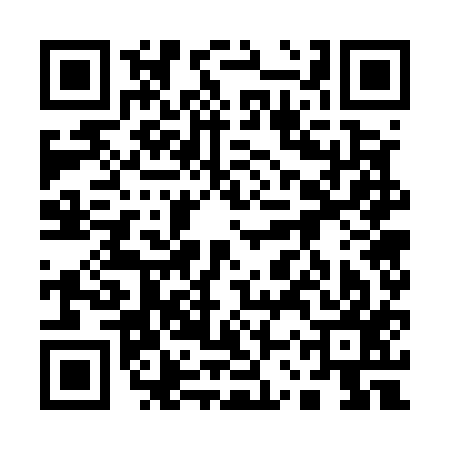 QR code for 13W517M