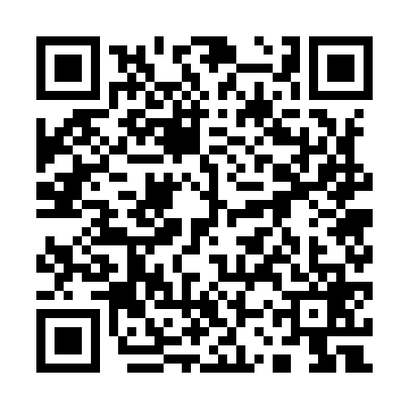 QR code for 13W9696