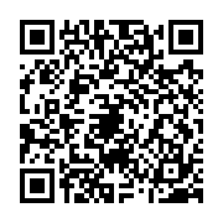 QR code for 13WG371
