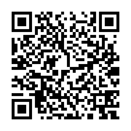 QR code for 13WS385