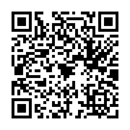 QR code for 13YS992