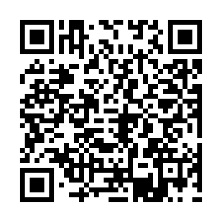 QR code for 13Z3851