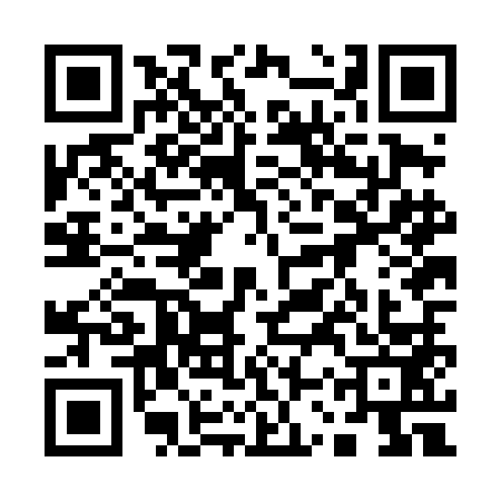 QR code for 13ZDM37