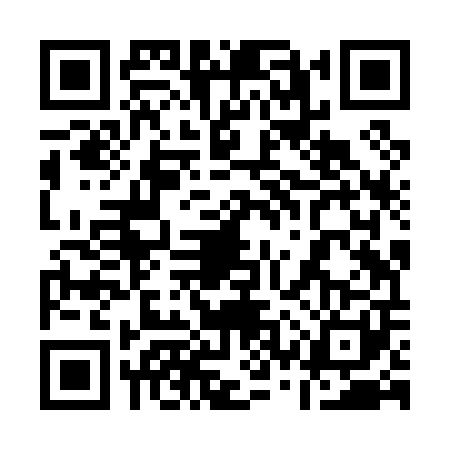 QR code for 13ZP012
