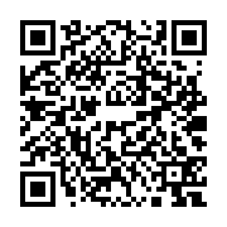 QR code for 16DS334