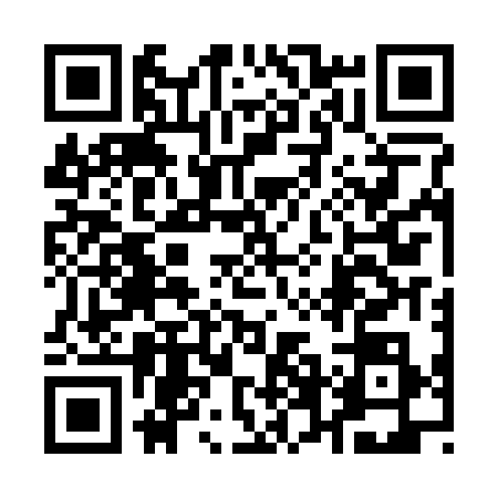 QR code for 16GB384