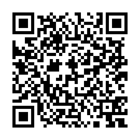 QR code for 16HM313