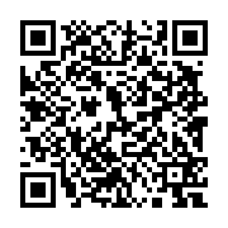 QR code for 16L423N
