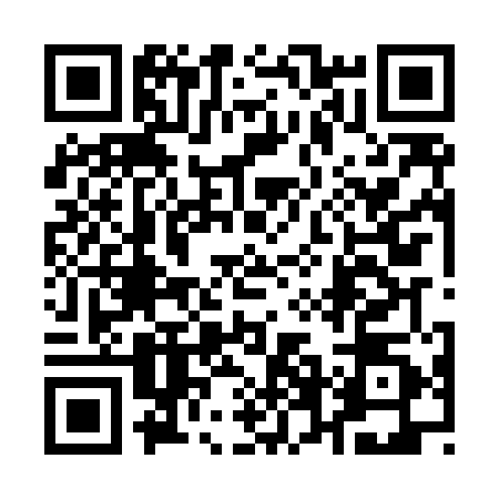 QR code for 16LL509