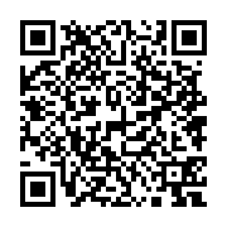 QR code for 16N5309