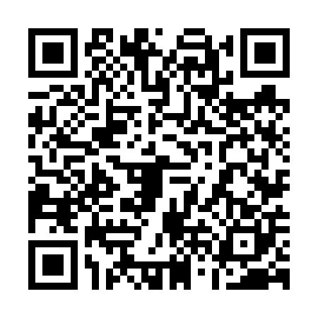 QR code for 16N6009