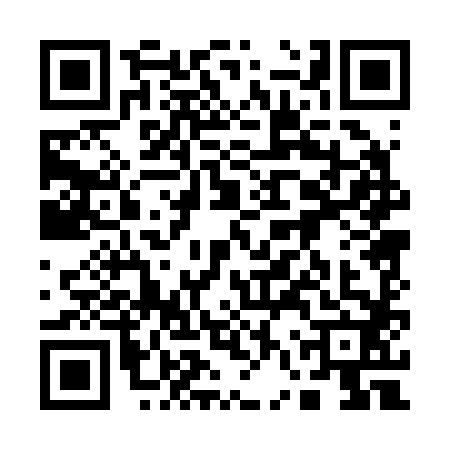 QR code for 16P2828