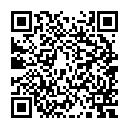 QR code for 16P297S