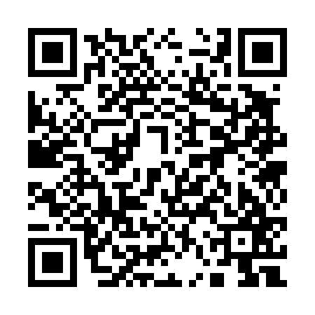 QR code for 16S467N