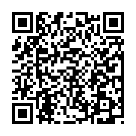 QR code for 16V8919