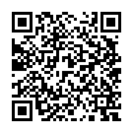 QR code for 16Z463J