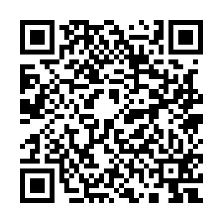 QR code for 17A113T