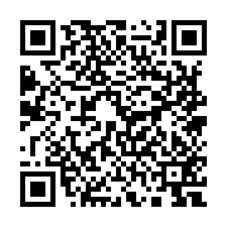 QR code for 17A953N