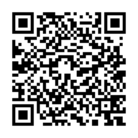 QR code for 17C379T