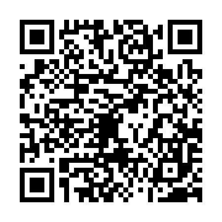 QR code for 17D396H