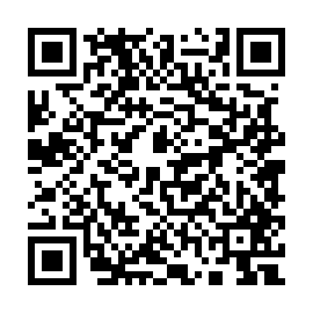 QR code for 17D547T