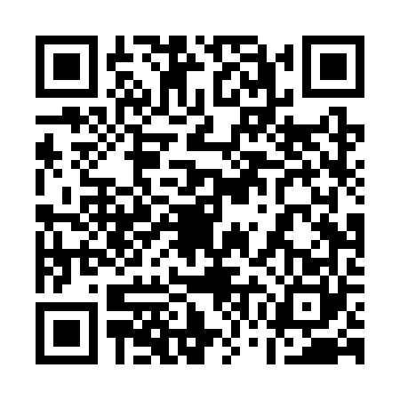 QR code for 17DSV01