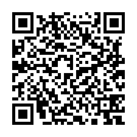 QR code for 17GH381