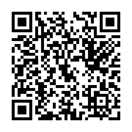 QR code for 17H393W