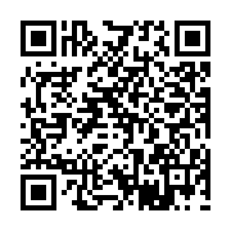 QR code for 17L314A