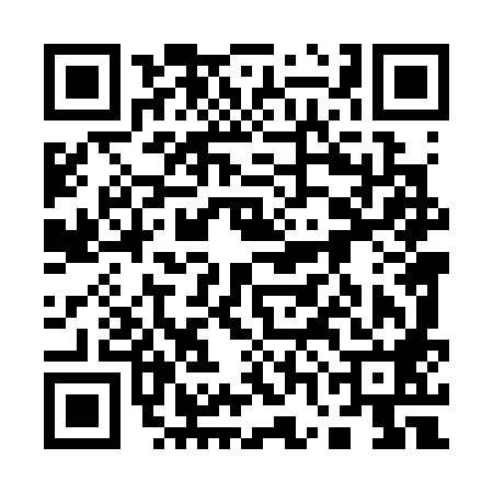 QR code for 17L388M