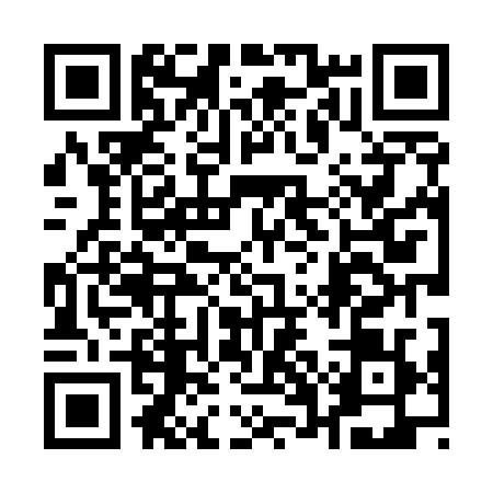 QR code for 17L5294