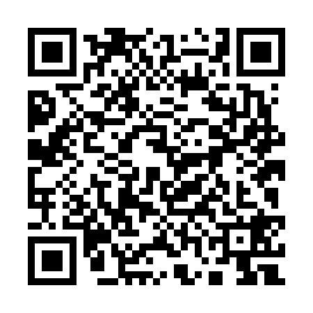 QR code for 17LF285