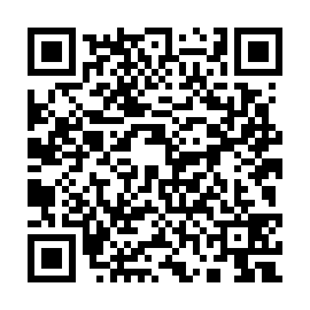 QR code for 17LG397