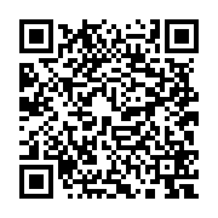 QR code for 17LN699