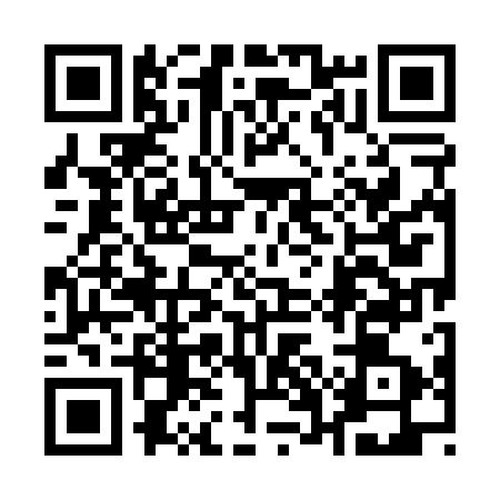 QR code for 17M013G