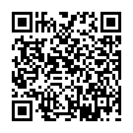 QR code for 17M381H