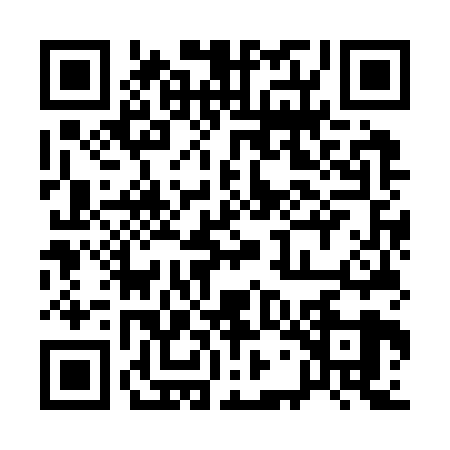 QR code for 17MK291