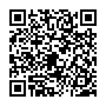 QR code for 17MSR29