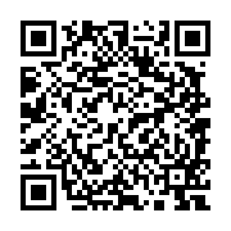 QR code for 17N497V
