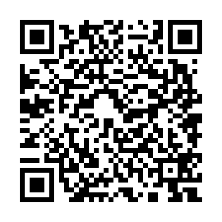 QR code for 17N6197