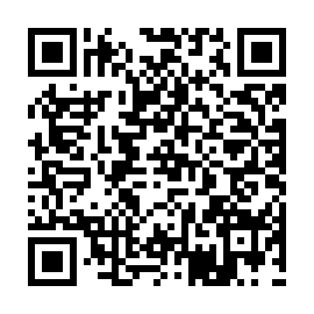 QR code for 17NN594
