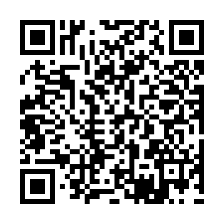 QR code for 17P276A