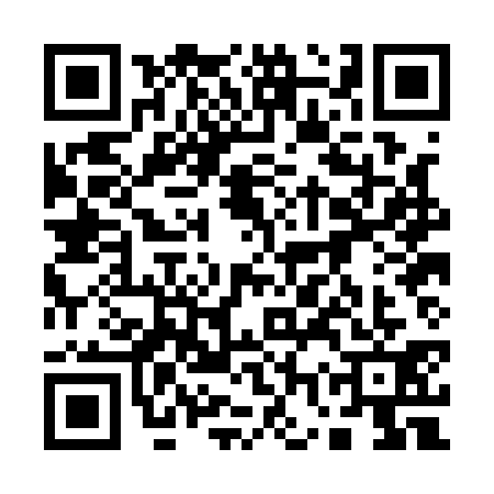 QR code for 17PA311