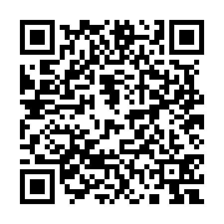 QR code for 17PN314