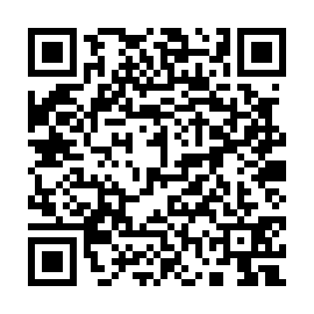 QR code for 17PP319