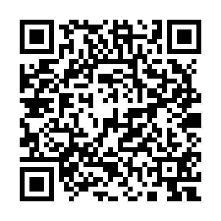 QR code for 17PZ113