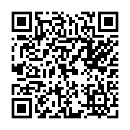 QR code for 17R225M