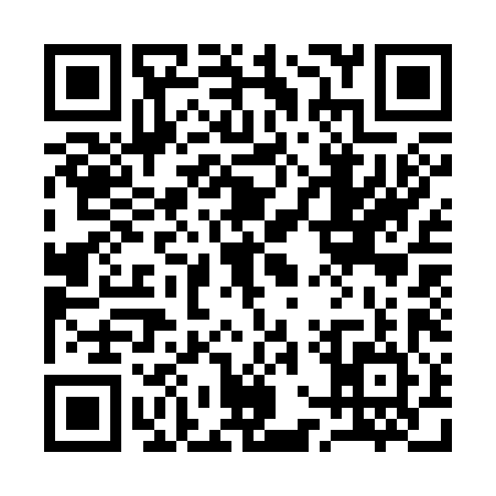 QR code for 17S384J
